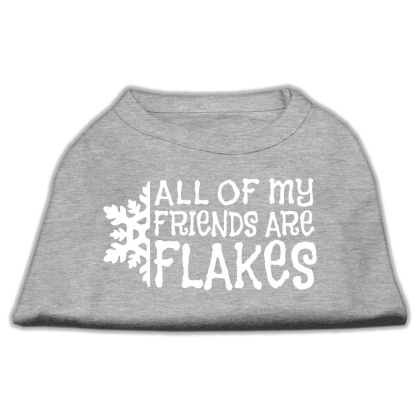 All my friends are Flakes Screen Print Shirt Grey L