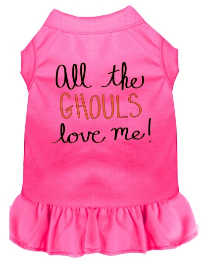 All the Ghouls Screen Print Dog Dress Bright Pink 4X (22)