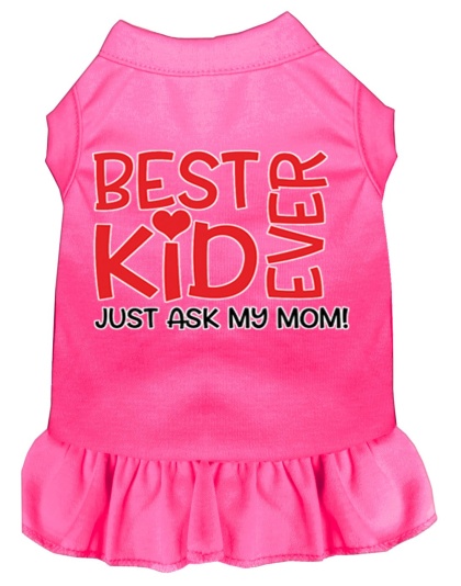 Ask My Mom Screen Print Dog Dress Bright Pink 4X (22)