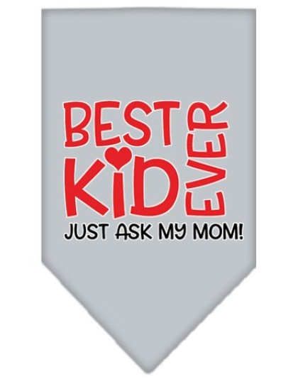 Ask My Mom Screen Print Pet Bandana Grey Large