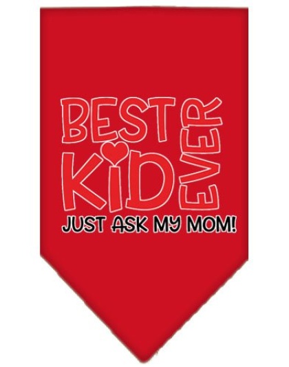 Ask My Mom Screen Print Pet Bandana Red Large