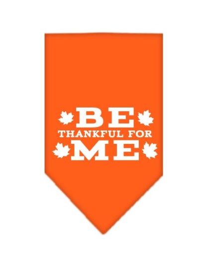 Be Thankful for Me Screen Print Bandana Orange Large