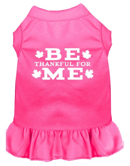 Be Thankful for Me Screen Print Dress Bright Pink 4X (22)