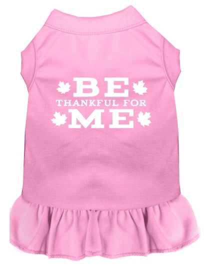 Be Thankful for Me Screen Print Dress Light Pink 4X (22)