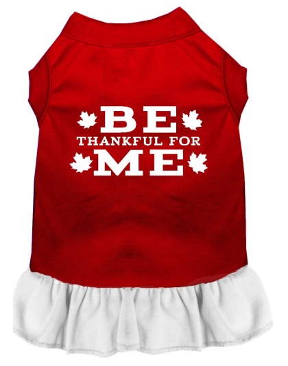 Be Thankful for Me Screen Print Dress Red with White Lg