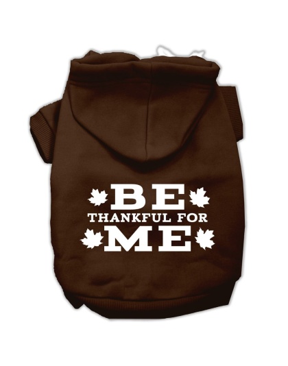 Be Thankful for Me Screen Print Pet Hoodies Brown Size Lg