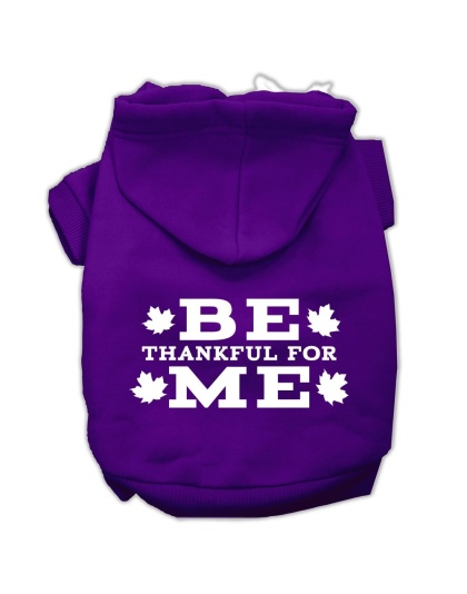 Be Thankful for Me Screen Print Pet Hoodies Purple Size L