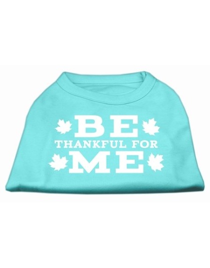 Be Thankful for Me Screen Print Shirt Aqua L