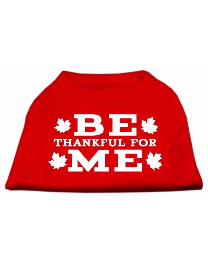 Be Thankful for Me Screen Print Shirt Red L