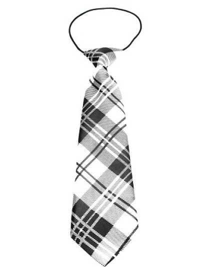 Big Dog Neck Tie Plaid White