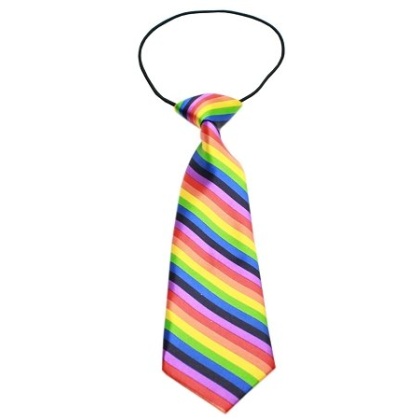 Big Dog Neck Tie Rainbow