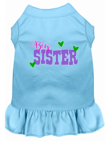 Big Sister Screen Print Dog Dress Baby Blue 4X