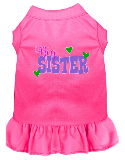 Big Sister Screen Print Dog Dress Bright Pink 4X