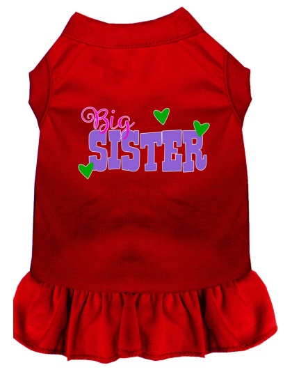 Big Sister Screen Print Dog Dress Red 4X