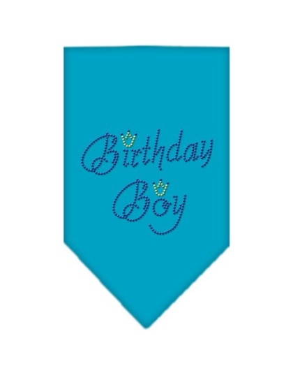 Birthday Boy Rhinestone Bandana Turquoise Large