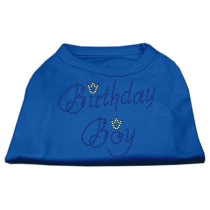 Birthday Boy Rhinestone Shirts Blue Lg