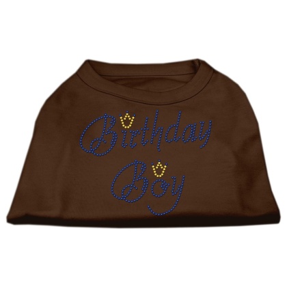 Birthday Boy Rhinestone Shirts Brown Lg