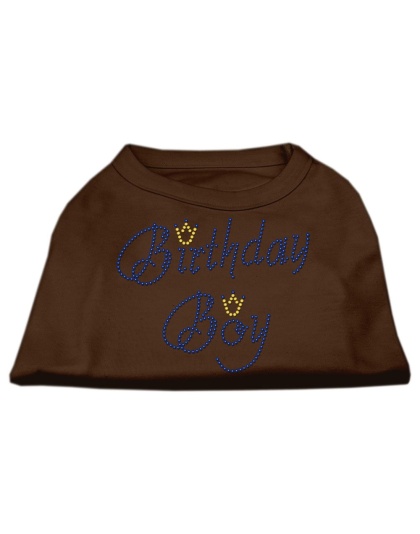 Birthday Boy Rhinestone Shirts Brown Lg