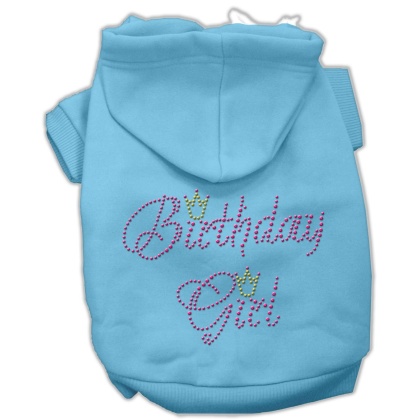 Birthday Girl Hoodies Baby Blue L