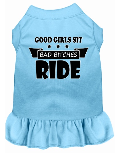 Bitches Ride Screen Print Dog Dress Baby Blue 4X (22)
