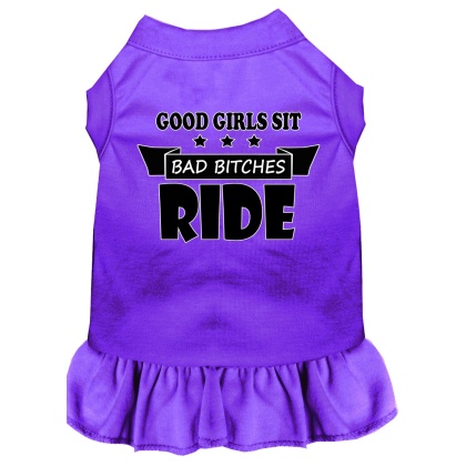 Bitches Ride Screen Print Dog Dress Purple 4X (22)