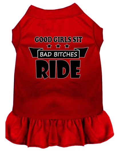 Bitches Ride Screen Print Dog Dress Red 4X (22)