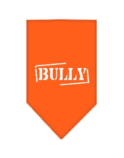 Bully Screen Print Bandana Orange Large