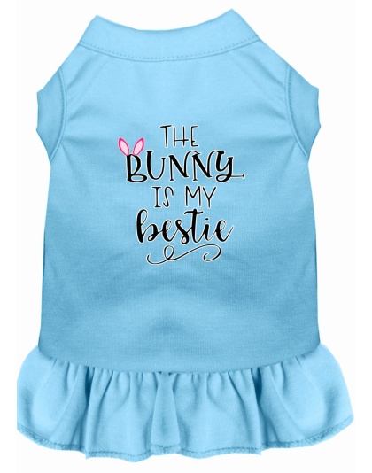 Bunny is my Bestie Screen Print Dog Dress Baby Blue 4X (22)