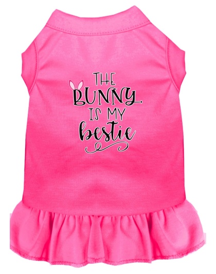 Bunny is my Bestie Screen Print Dog Dress Bright Pink 4X (22)