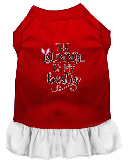 Bunny is my Bestie Screen Print Dog Dress Red with White Lg