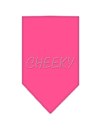 Cheeky Rhinestone Bandana Bright Pink Large