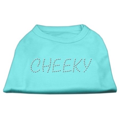 Cheeky Rhinestone Shirt Aqua L