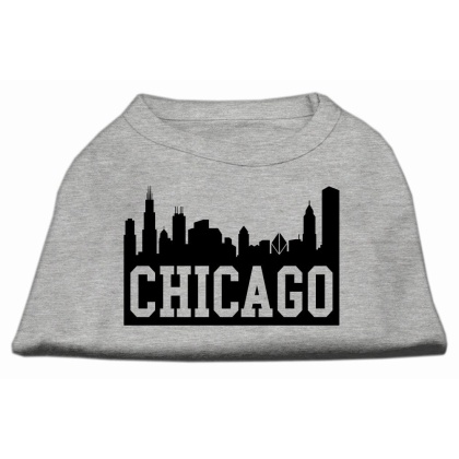 Chicago Skyline Screen Print Shirt Grey Lg