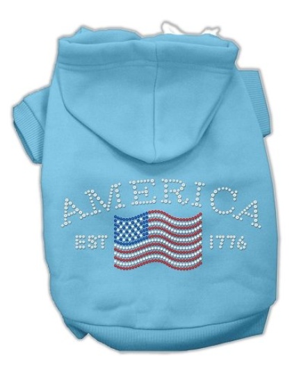 Classic American Hoodies Baby Blue L