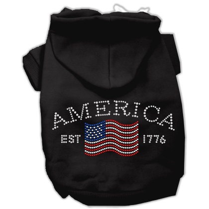 Classic American Hoodies Black L