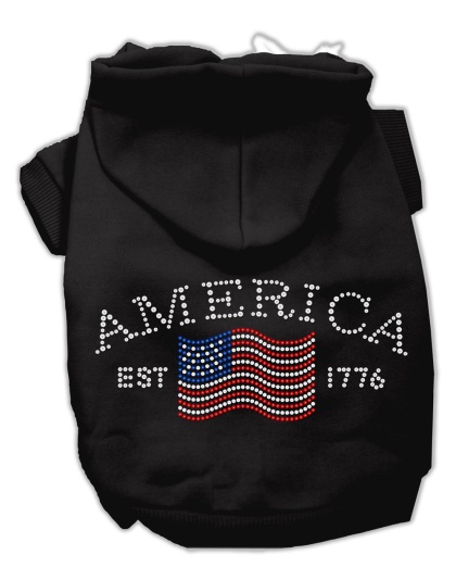 Classic American Hoodies Black L