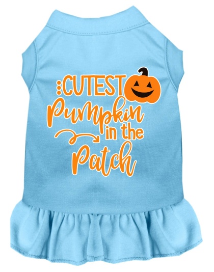 Cutest Pumpkin in the Patch Screen Print Dog Dress Baby Blue 4X