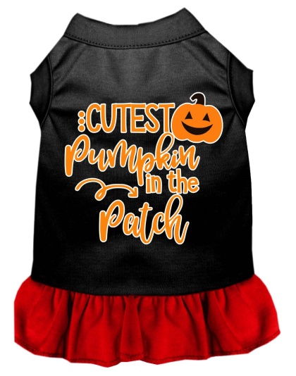 Cutest Pumpkin in the Patch Screen Print Dog Dress Black with Red Lg