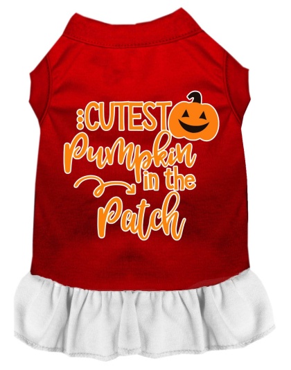 Cutest Pumpkin in the Patch Screen Print Dog Dress Red with White Lg