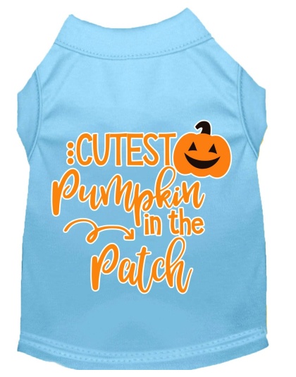 Cutest Pumpkin in the Patch Screen Print Dog Shirt Baby Blue Lg