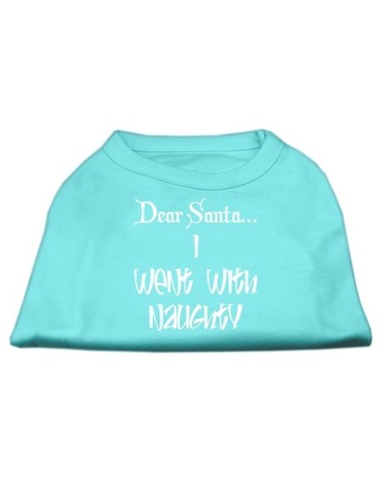 Dear Santa I Went with Naughty Screen Print Shirts Aqua Lg