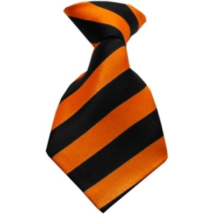 Dog Neck Tie Striped Orange