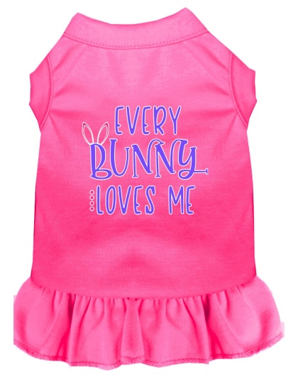 Every Bunny Loves me Screen Print Dog Dress Bright Pink 4X (22)