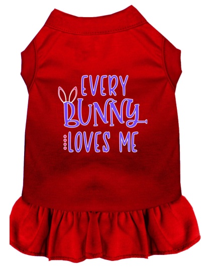 Every Bunny Loves me Screen Print Dog Dress Red 4X (22)
