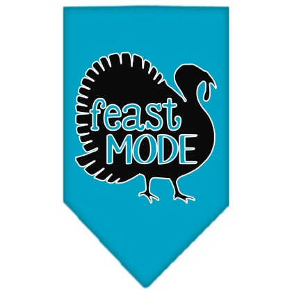 Feast Mode Screen Print Bandana Turquoise Large