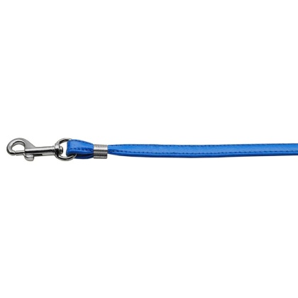 Flat Plain Leashes Blue Silver Hardware