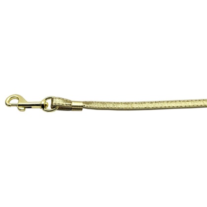 Flat Plain Leashes Gold Gold Hardware