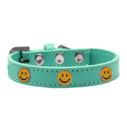 Happy Face Widget Dog Collar Aqua Size 10