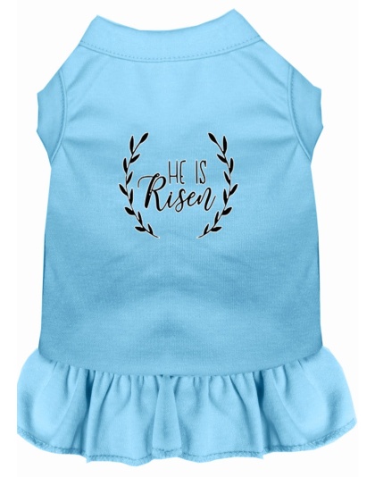 He Is Risen Screen Print Dog Dress Baby Blue 4X (22)