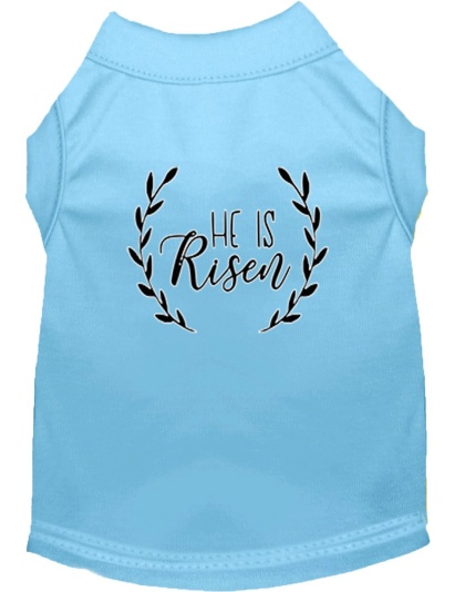 He Is Risen Screen Print Dog Shirt Baby Blue Lg